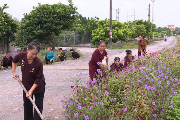 cac-hoi-thanh-tin-lanh-viet-nam-voi-cong-tac-bao-ve-moi-truong-ung-pho-voi-bien-doi-khi-hau