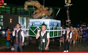 doc-dao-le-cung-than-sam-tren-day-ngoc-linh