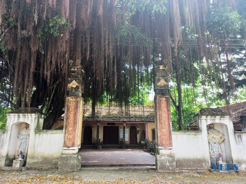 tim-hieu-di-san-van-hoa-phi-vat-the-quoc-gia-le-hoi-den-mung-o-thanh-hoa