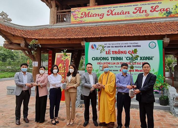 trong-1008-cay-tai-chua-quynh-lam-quang-ninh