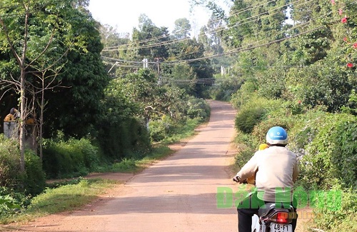 Giao_dan_Duc_Manh__tinh_Dak_Nong_chung_tay_lam_duong_giao_thong_nong_thon