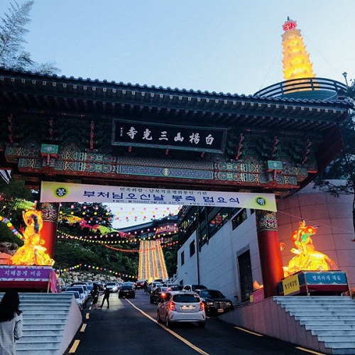 Chum_anh_hoa_dang_kinh_mung_Phat_Dan_tai_Busan__Han_Quoc