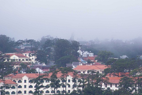 Ve_dep_cua_nha_tho_Mai_Anh_o_Da_Lat