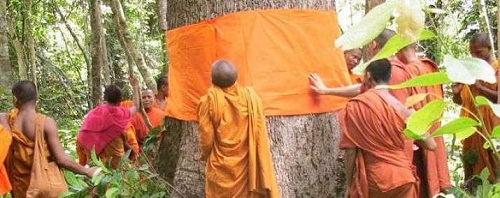 Cac_tu_si_Phat_giao_o_Thai_Lan_tich_cuc_bao_ve_moi_truong_sinh_thai