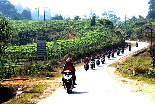 An_Tet_Doc_lap_cung_dong_bao_Thai_o_Que_Phong