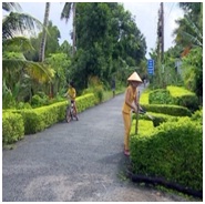 Giao_dan_tich_cuc_xay_dung_que_huong