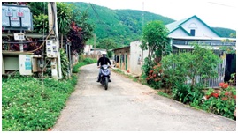 Dan_van_kheo_trong_vung_dong_bao_co_dao_cua_huyen_Duc_Trong__tinh_Lam_Dong