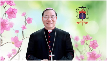 Giao_hoang_bo_nhiem_tan_Tong_Giam_muc_Tong_Giao_phan_Ha_Noi