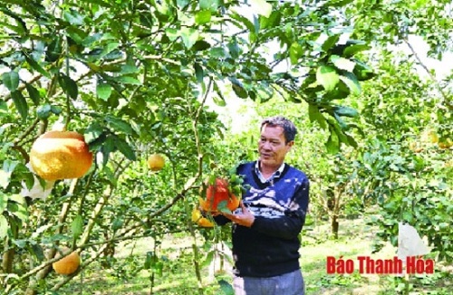 Thanh_Hoa__Dong_bao_Cong_giao__kinh_Chua__yeu_nuoc_