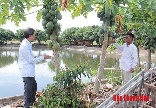 Giao_dan_Quang_Truong_chung_suc_xay_dung_que_huong