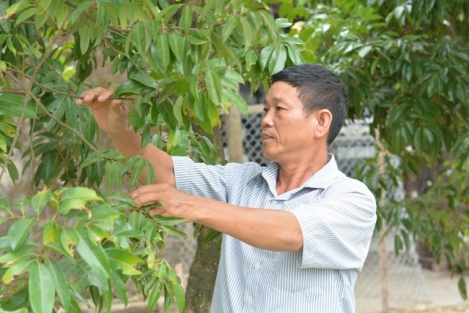 Bi_thu_chi_bo_vung_giao_tran_tro_viec_lang__tien_phong_viec_Dang