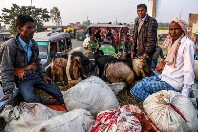 Tin_do_Hindu_do_ve_le_hoi_hien_te_dong_vat_lon_nhat_the_gioi_o_Nepal