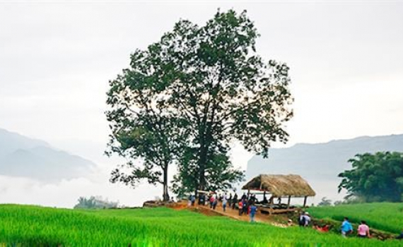 Doc_dao_Le_hoi_Kho_Gia_Gia_cua_nguoi_Ha_Nhi_den_vung_cao_Bat_Xat