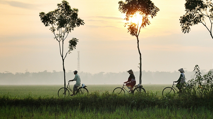 ton-giao-va-moi-truong-phat-huy-nguon-luc-ton-giao-trong-giai-quyet-cac-van-de-moi-truong-o-viet-nam-hien-nay