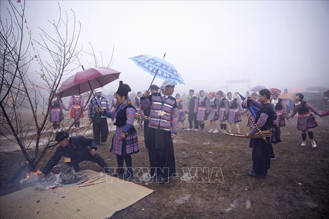 dap-diu-le-hoi-gau-tao-giua-troi-mua-lanh